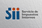 SII adopta medidas tributarias para ir en apoyo de las personas afectadas por los incendios forestales de las regiones de Biob&iacute;o y &Ntilde;uble