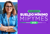 Subsidio Sueldo M&iacute;nimo